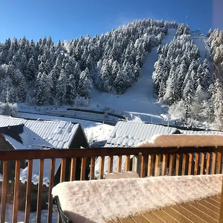 Apartment Aux Pieds Des Pistes De Laveissiere