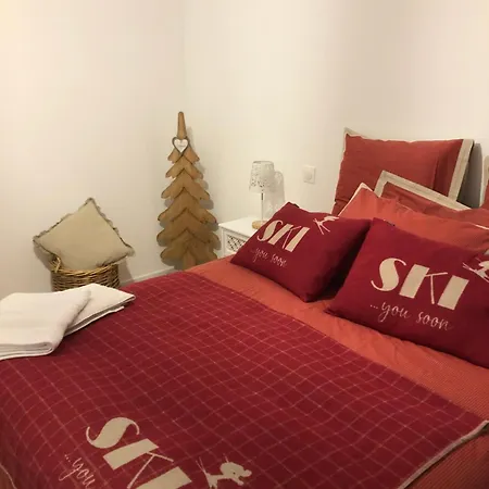 Apartment Aux Pieds Des Pistes De *